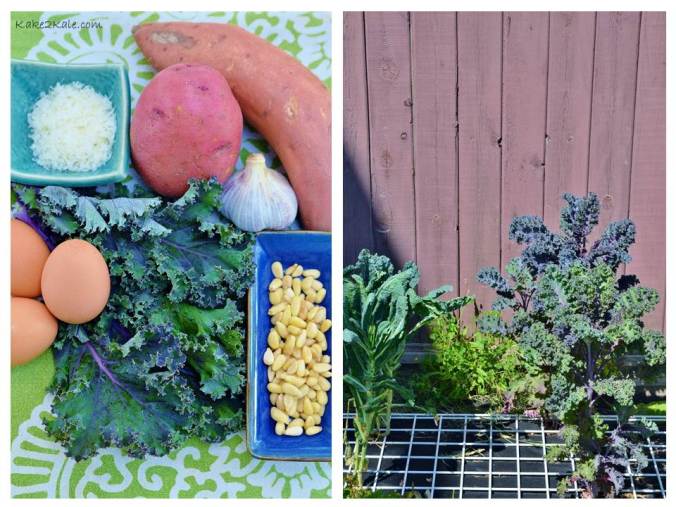 Kale Pesto 3 Kake2kale