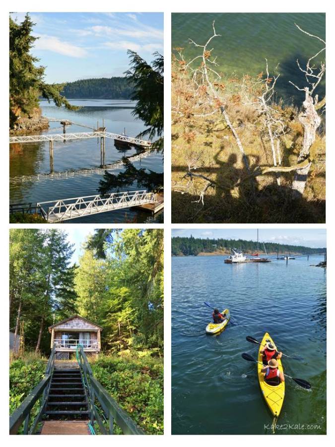 Salt Spring Island 4 Kake2Kale