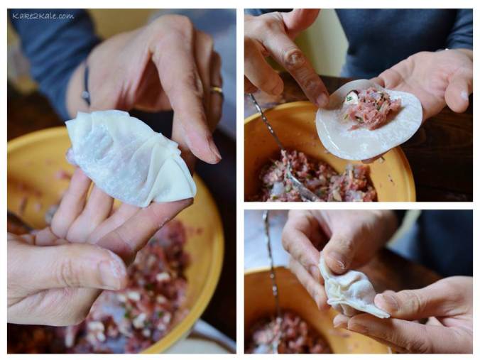 Dumplings 2 Kake2Kale