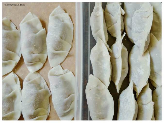 Dumplings 3 Kake2Kale