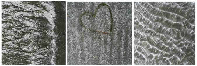 On Tofino Time Kake2Kale.com