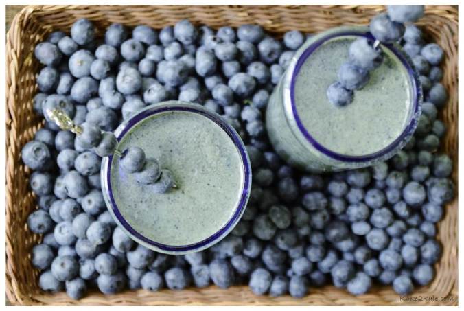 Blueberry Coconut Smoothie by Kake2Kale.com