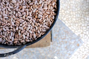 Kake2Kale Photography