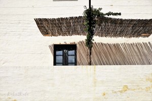 Kake2Kale Photography