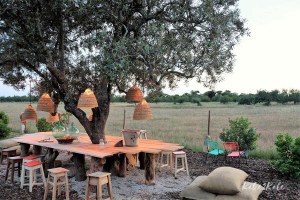 Kake2Kale Photography