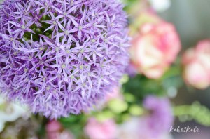 Kake2Kale Photography