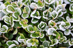 Kake2Kale Photography