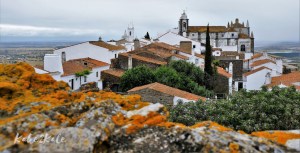 Kake2Kale Alentejo Portugal - Reguengos de Monsaraz