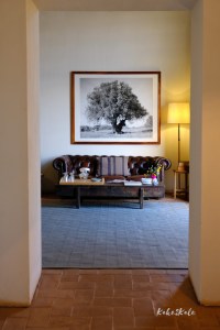 Kake2Kale Alentejo Portugal - São Lourenço do Barrocal