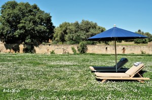 Kake2Kale Alentejo Portugal - São Lourenço do Barrocal