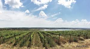 Kake2Kale Alentejo Portugal - Cortez de Cima