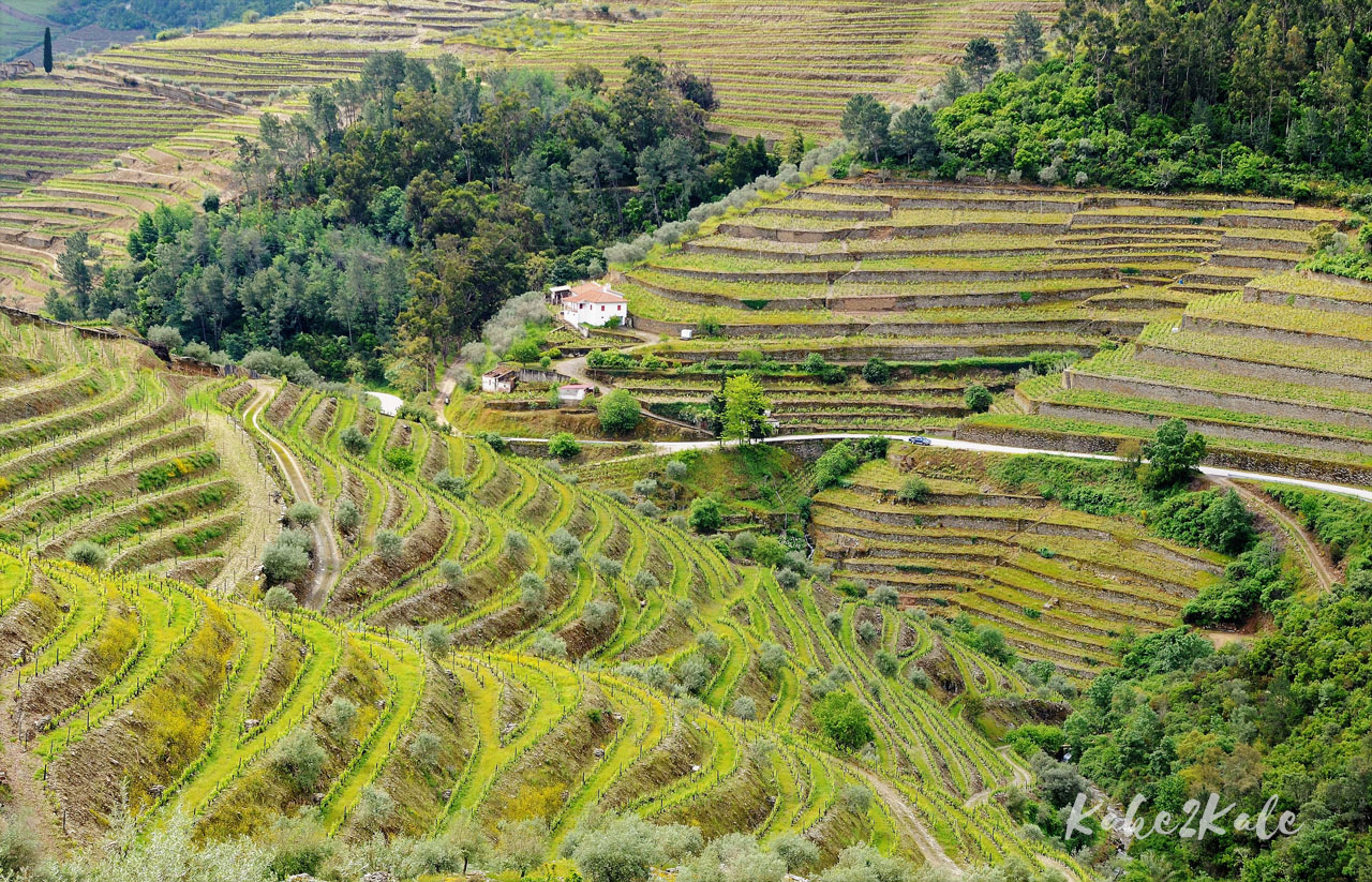 Kake2Kale Alto Duoro Portugal