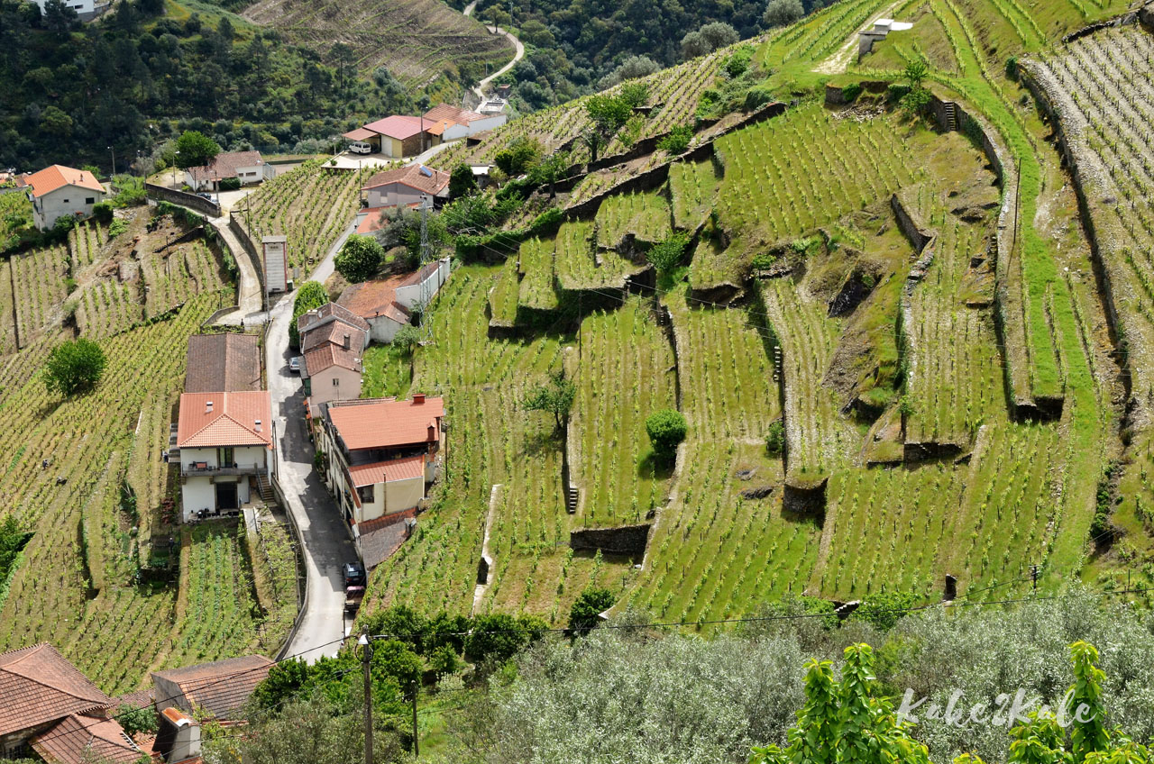 Kake2Kale Alto Duoro Portugal