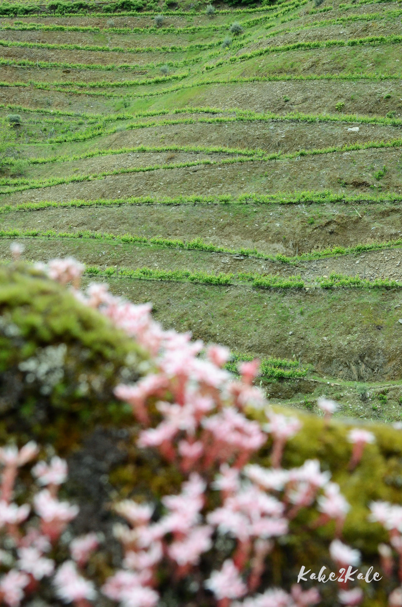 Kake2Kale Alto Duoro Portugal