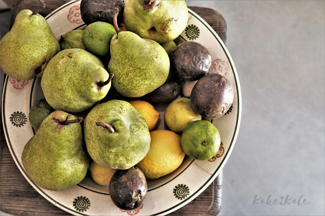 Kake2Kale Wild Coast Portugal