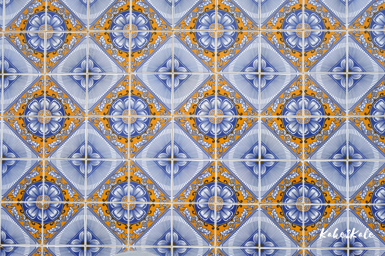 Kake2Kale Wild Coast Portugal