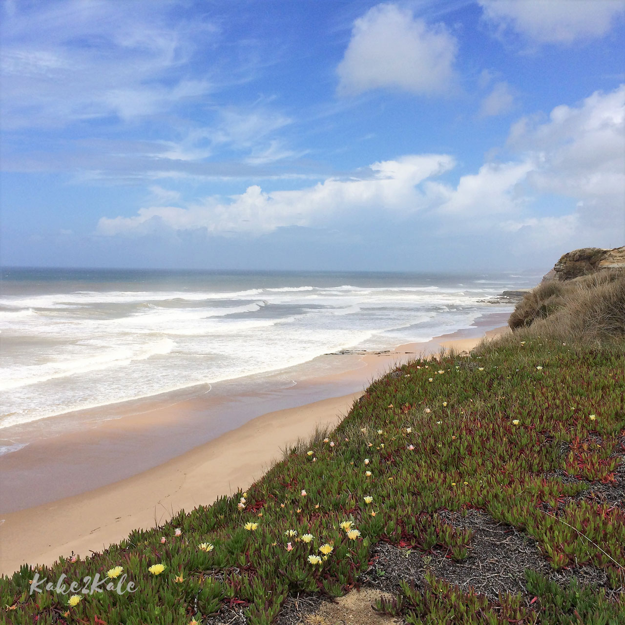 Kake2Kale Wild Coast Portugal - Santa Cruz