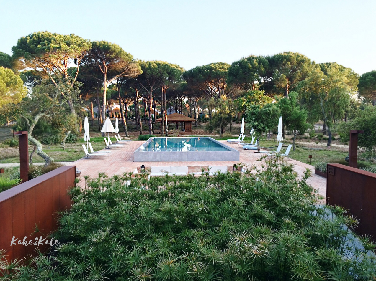 Kake2Kale Wild Coast Portugal - Sublime Comporta